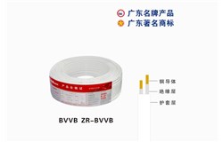 BVVB ZR-BVVB珠江電纜